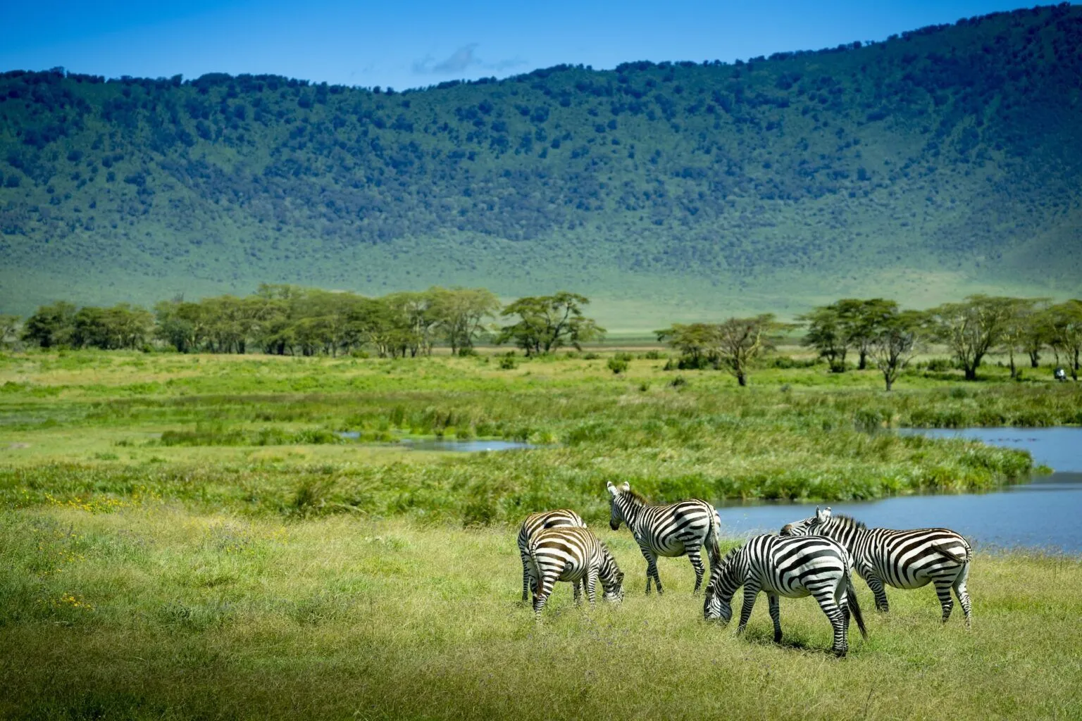 7 Days: Wild & Peaceful Southern Tanzania's Best Safari Experience